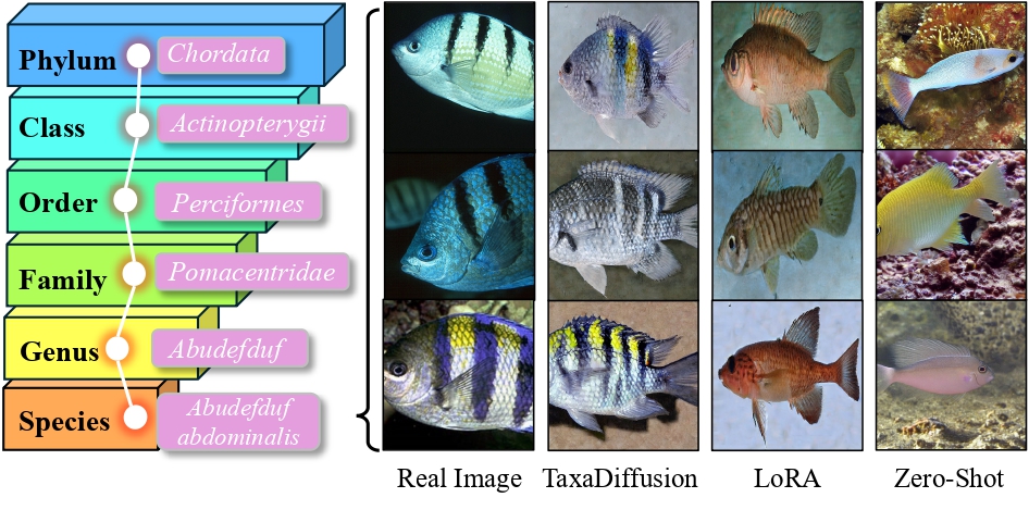 Figure 1 - Taxonomy Structure