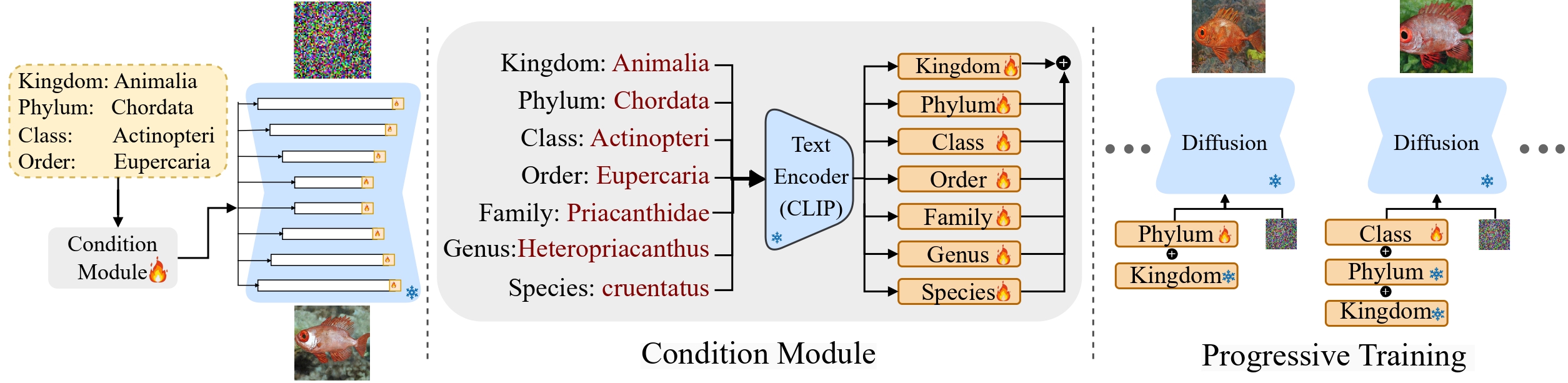 Model Overview
